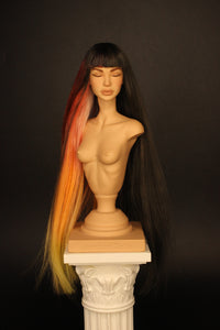 Designer's Wig- Half Brown Half Rainbow Bang